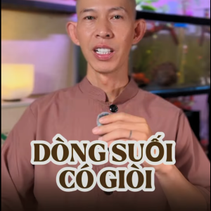 Dòng suối có giòi