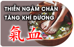 Ngâm chân đúng cách, tăng dương khí, Thiền ngâm chân thảo dược, cải thiện trí não