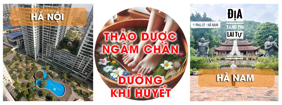 Thiền ngâm chân thảo dược, cải thiện trí não